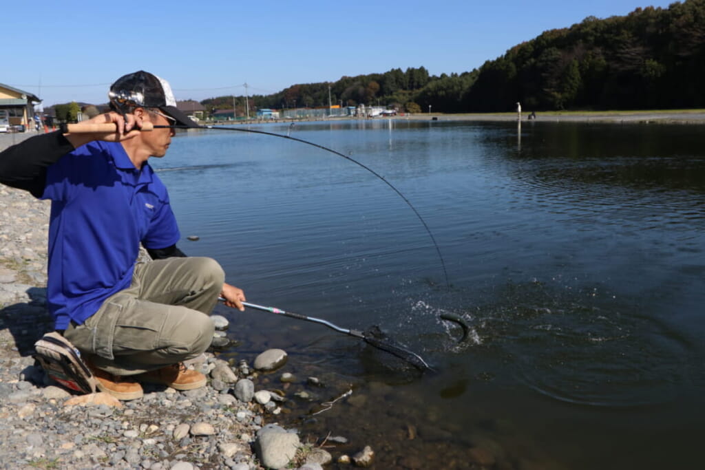 Основы Ареа. Первые&nbsp;шаги