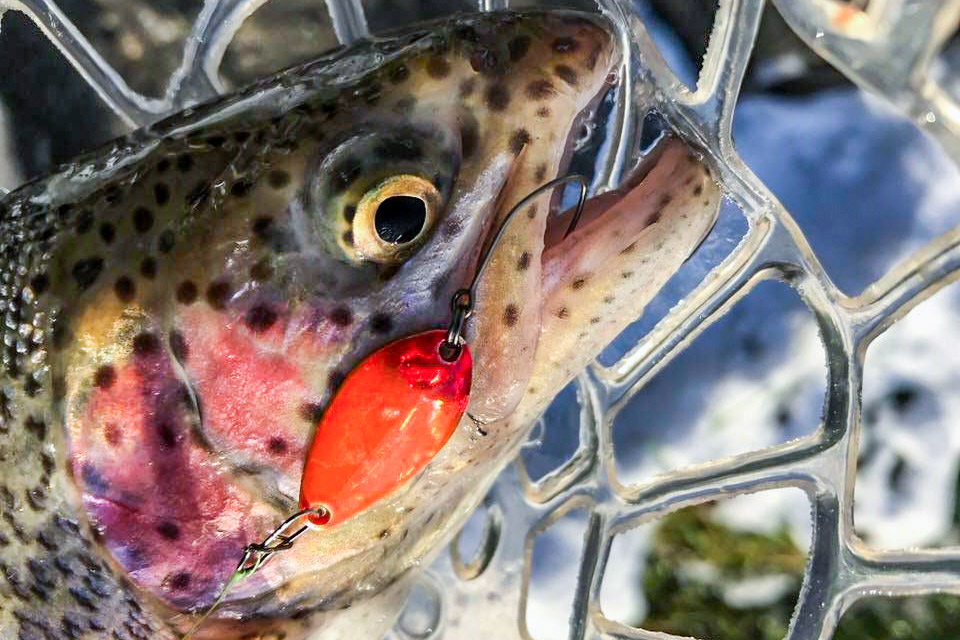 Основы Ареа. Средний&nbsp;уровень