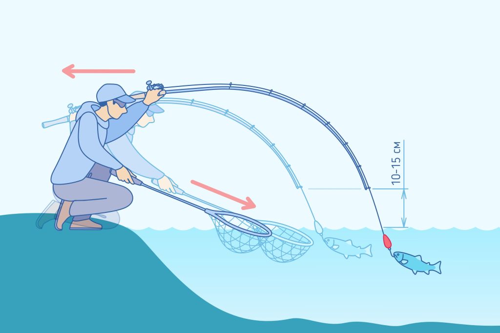 Основы Ареа. Минимизация сходов на вываживании и заведении рыбы в&nbsp;подсачек