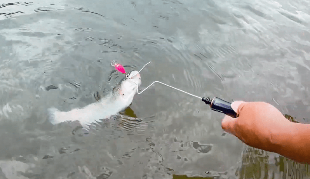 Основы Ареа. Использование&nbsp;релизера