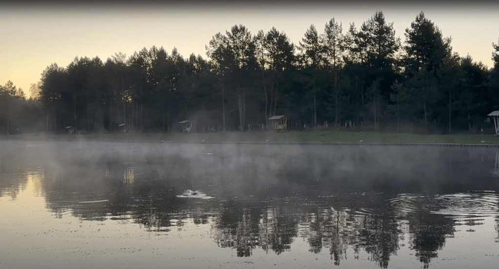 Основы Ареа. Водоёмы