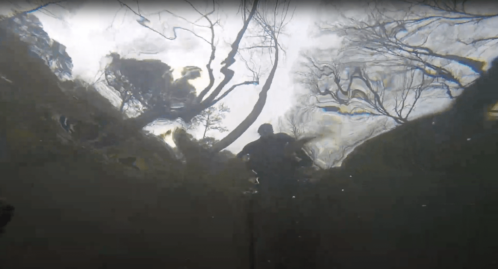 Как форель видит под водой? Вопросы и&nbsp;ответы