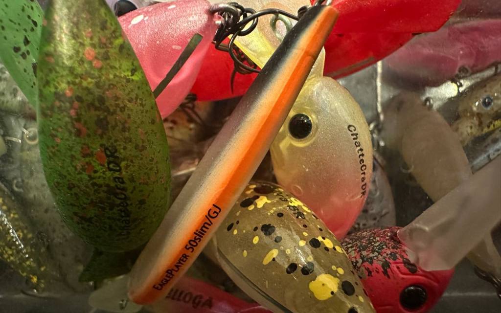 Рыбалка в местечке Накацугава на приманки Daysprout. Часть 2: Ловля на пластик