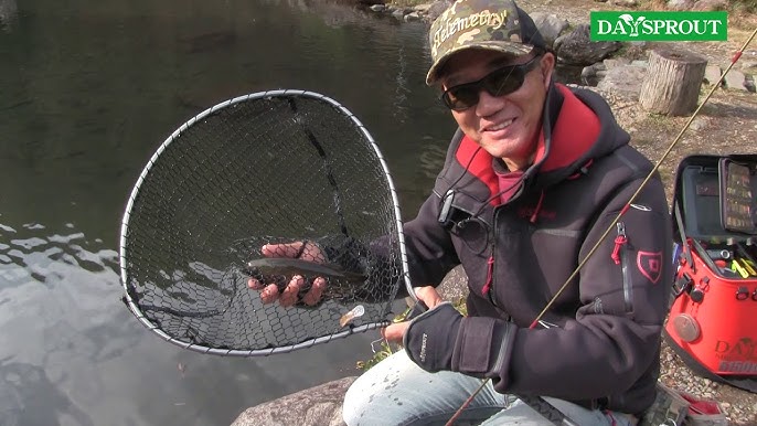 Ловля на запуске: от Daysprout Ronisa 3.3 до Dish 0.6